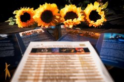 Ein allgemeines Bild